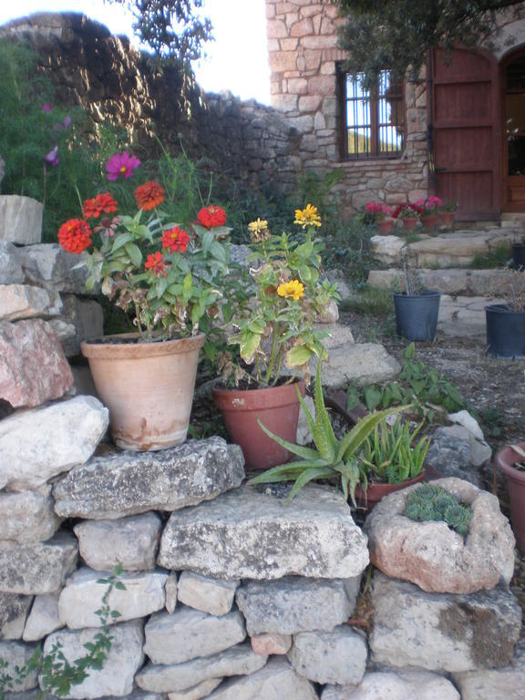 Mas Del Salin Villa Cornudella de Montsant Exterior photo